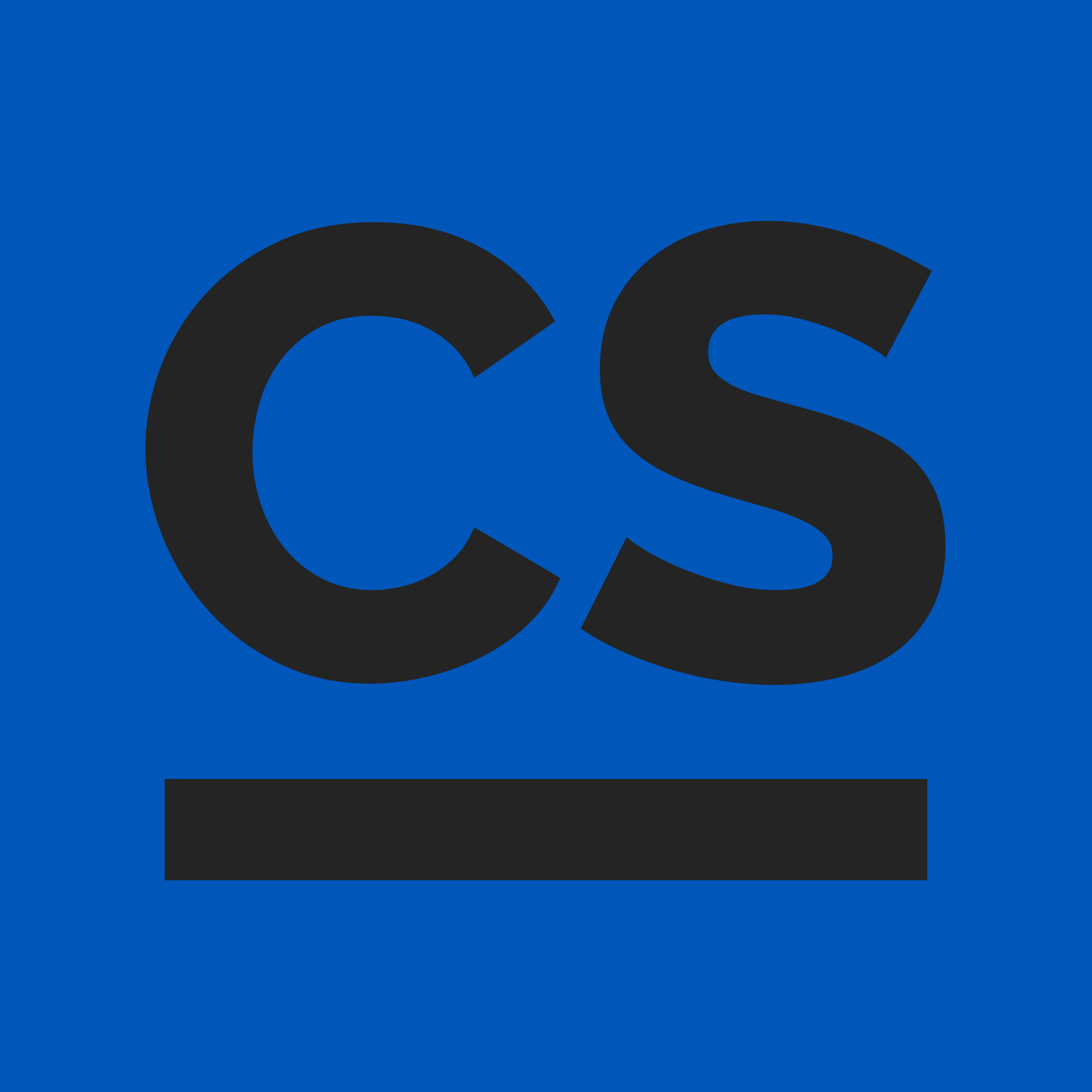 CodeSupport Logo